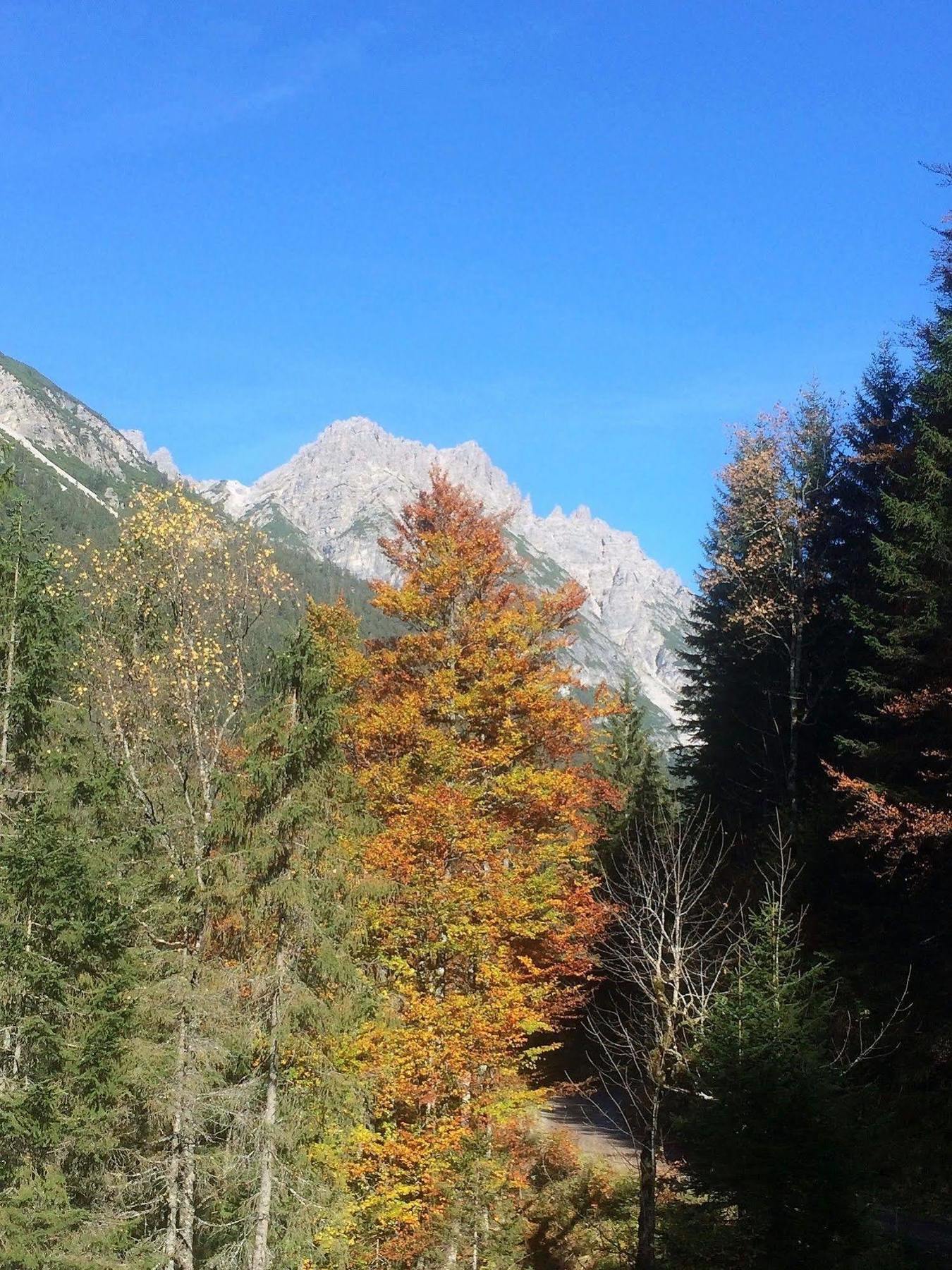 Pension Alpenperle Holzgau Dış mekan fotoğraf